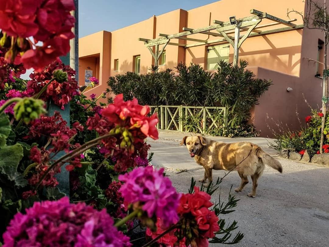 Flower And Crafts - The Eco Nature House Monólithos Exterior foto