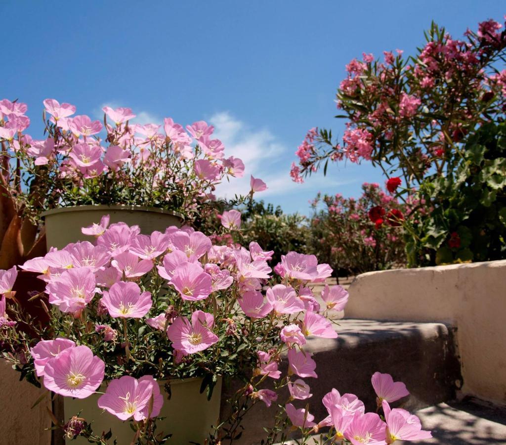 Flower And Crafts - The Eco Nature House Monólithos Exterior foto